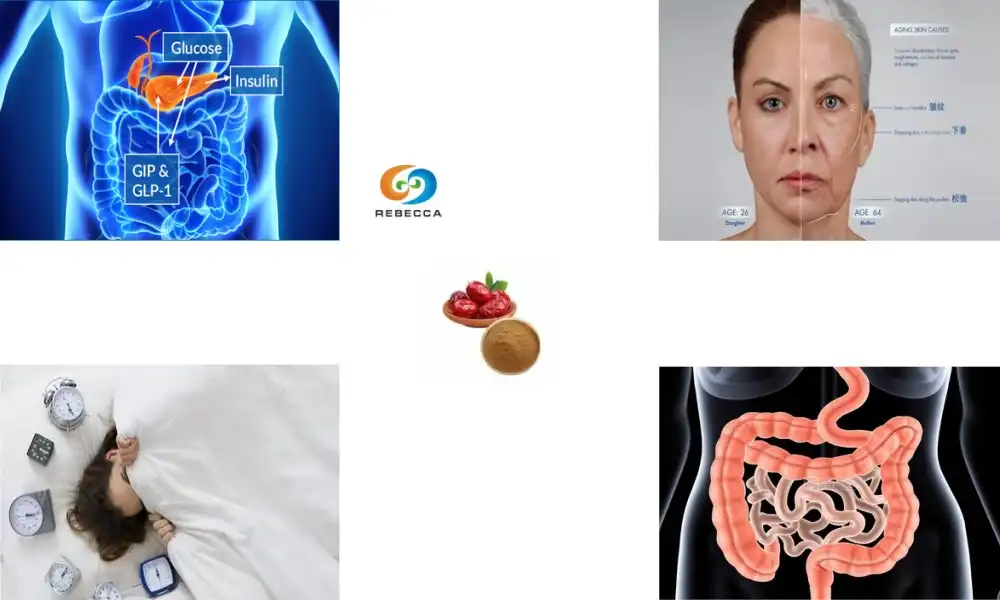 Jujube Extract Powder Recipes for Boosting Immunity